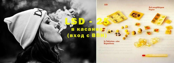 спайс Аркадак
