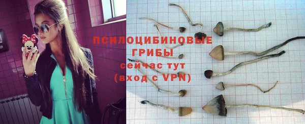 спайс Аркадак