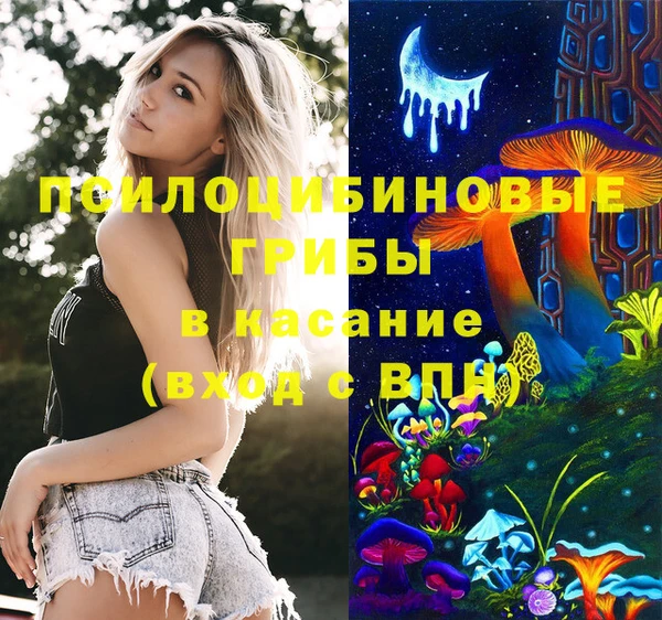 спайс Аркадак