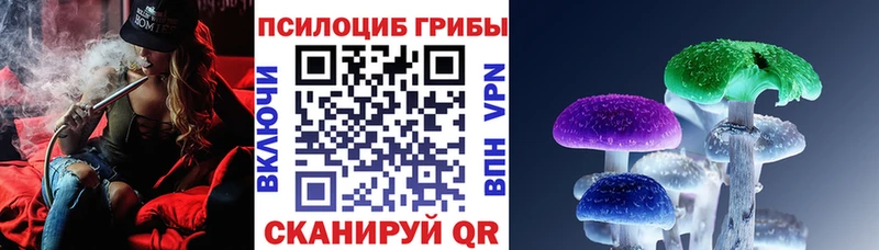 Купить закладки  Скопин  Псилоцибиновые грибы Psilocybe 